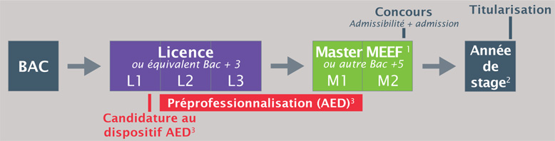 Schéma-de-la-formation-des-enseignants