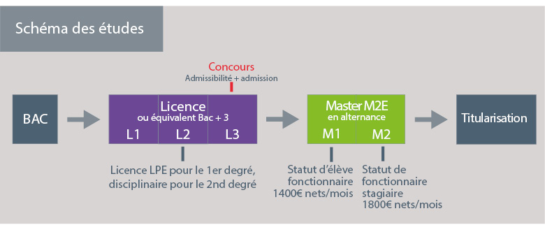 schéma des études flyer